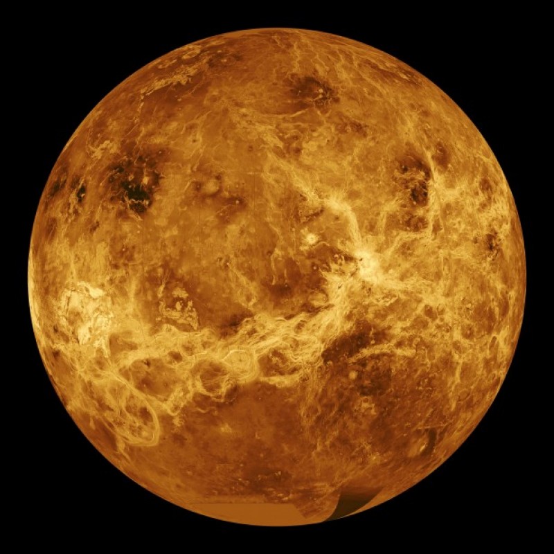 die Venus